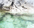 Lion's Head #3