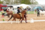 SBM_01060