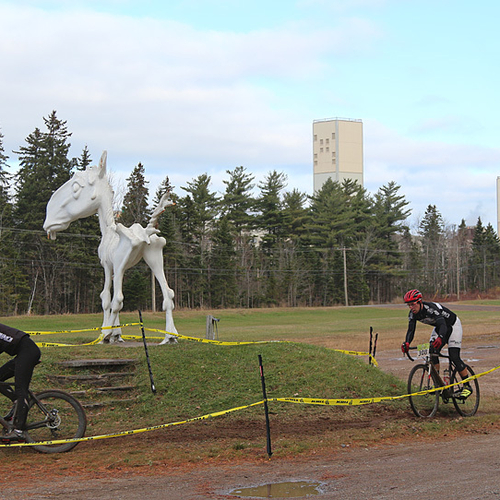 Competitors circle 'Blowhard', the bony race horse statue that lured tourists in to this park for over 3 decades, and…