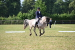 WJ6_5437