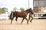 SBM_10369