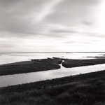 Tranquil Waters, Breydon