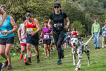 Dovedale-1457