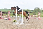 BPP_9519