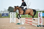 SAT Cls 9 British Novice and 90cm Open portfolio