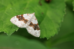 Silver-ground Carpet, Wharram Percy, Yorkshire