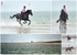 Collages11