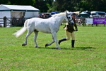 SBM_03856