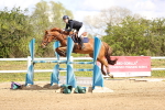 SBM_003955
