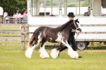 SBM_05953