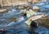 Katka holds a big salmon caught by guest Janie after a long fight.