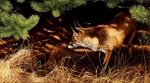 Silent pursuit
