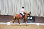 SBM_005878