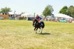 SBM_17221