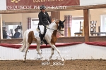 BPP_8852