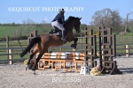 BPP_0506