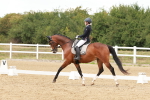 SBM_001499
