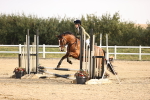 SBM_000257