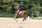 109-Katharine.Lewis-Albertho.B portfolio