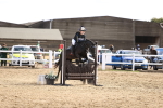 SBM_002302
