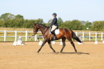 SBM_010599