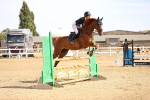 SBM_001360