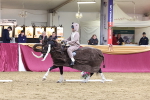 SBM_09953
