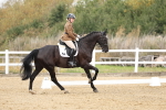 SBM_018265