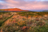 Carn Ingli Sunrise
