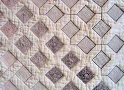 Maya Series portfolio