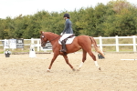 SBM_012115