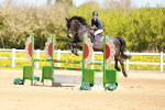 SBM_001384