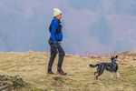 Loughrigg-277