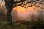z2066 Overlooking the Duver at Surise