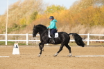 SBM_000826