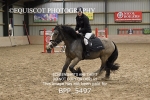 BPP_5497