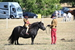 WJ6_9253