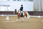 SBM_001498