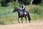 WJ7_6920