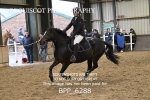 BPP_6288