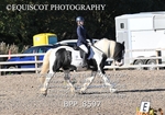 BPP_8597