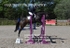 BPP_8028