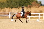SBM_018476