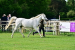 SBM_00027