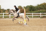 SBM_007442