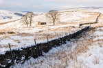 Trees and barn near Shutlingsloe