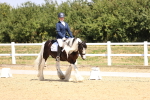 SBM_003754