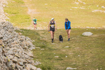 Ennerdale-85
