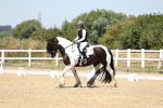 SBM_001580