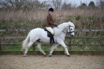 SBM_006050